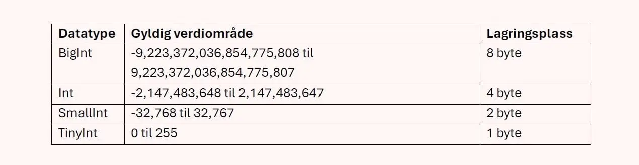 Tabell over heltallstyper: BigInt 8 byte, Int 4 byte, SmallInt 2 byte og TinyInt 0 til 255 på 1 byte